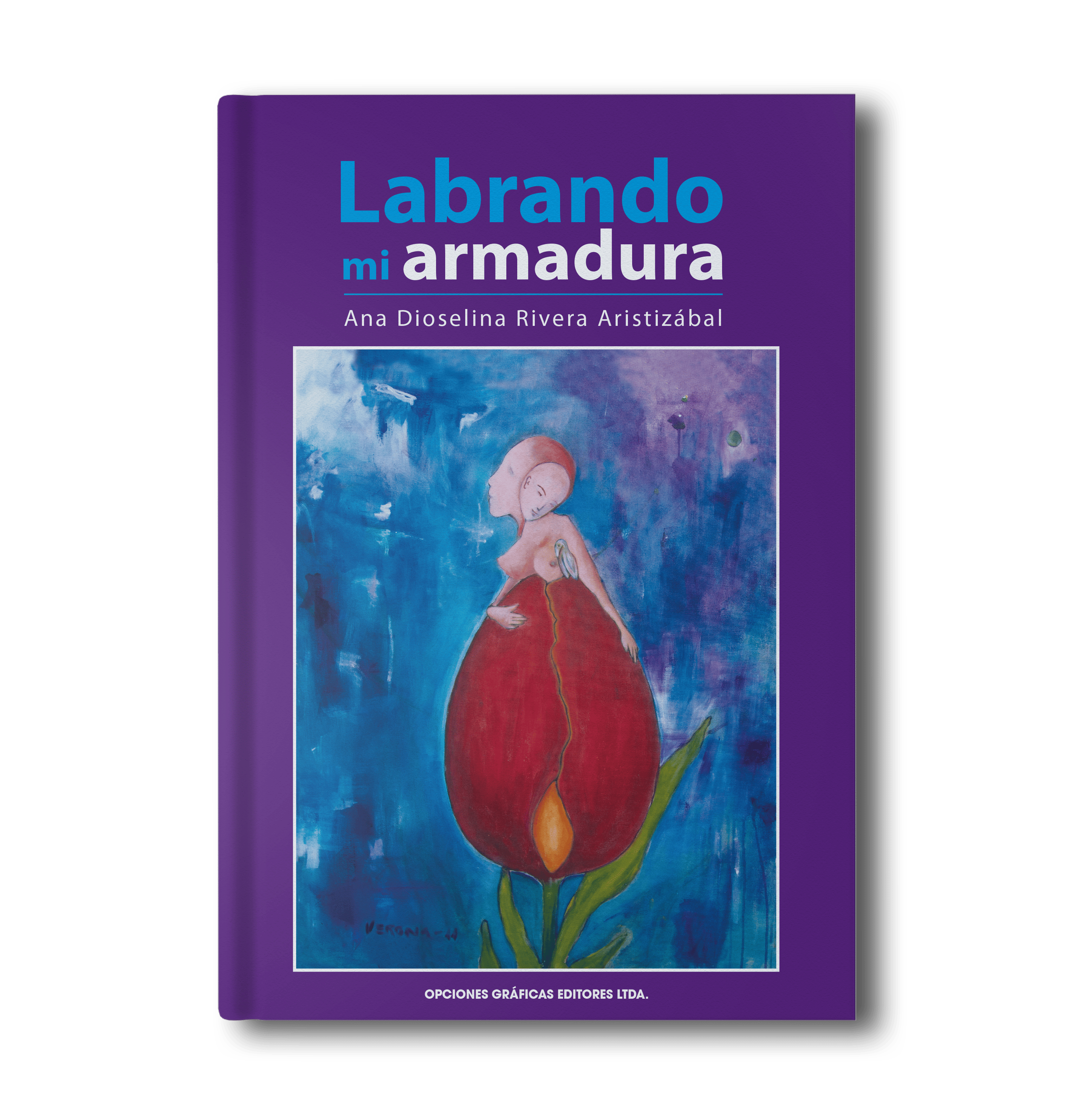 Libro-Labrando-mi-armadura-2