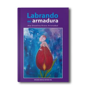 Labrando mi armadura